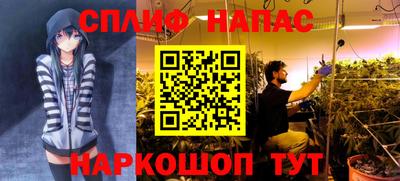 мдпв Дубна
